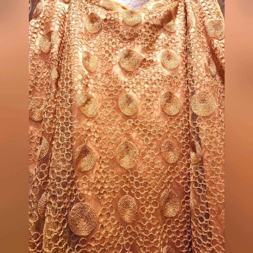 Stunning 70's Maxi Net layered skirt